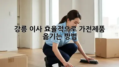 강릉 이사, 효율적으로 가전제품 옮기는 방법!